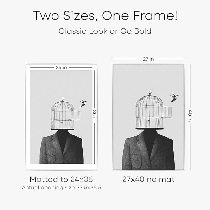 Homeforia Silver 27x40 Poster Frame, Metal Picture Frame with 24x36 Mat, Tempered Glass, Wall Hook Included, Set of 1