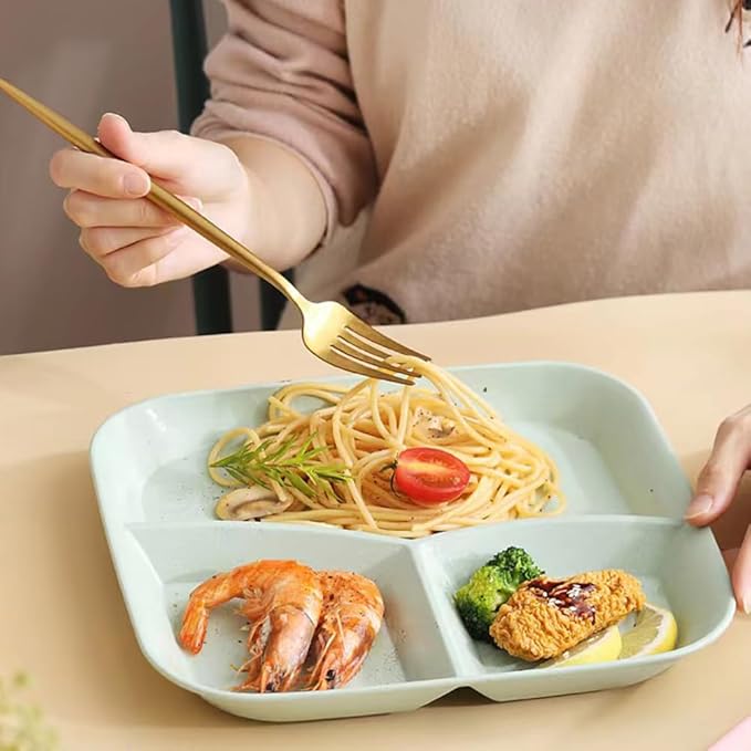 10 Inch Portion Control Divided Plates for Healthy Eating, 4PCS Unbreakable Wheat Straw Dinner Plate BPA Free, Plates for Kids Adults Picnic,Reusable Plates (4 PACK)