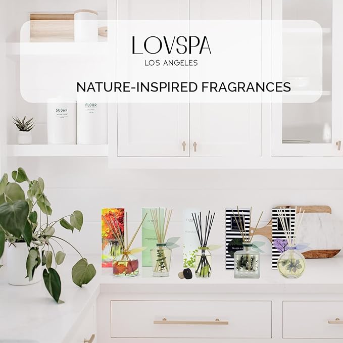 LOVSPA Reed Diffuser Set, Spiced Pomander Scented Oil Diffuser with Sticks, Home Fragrance Accessories for Bathroom Shelf Decor, Aroma Diffusers for Home or Office Desk, USA Made