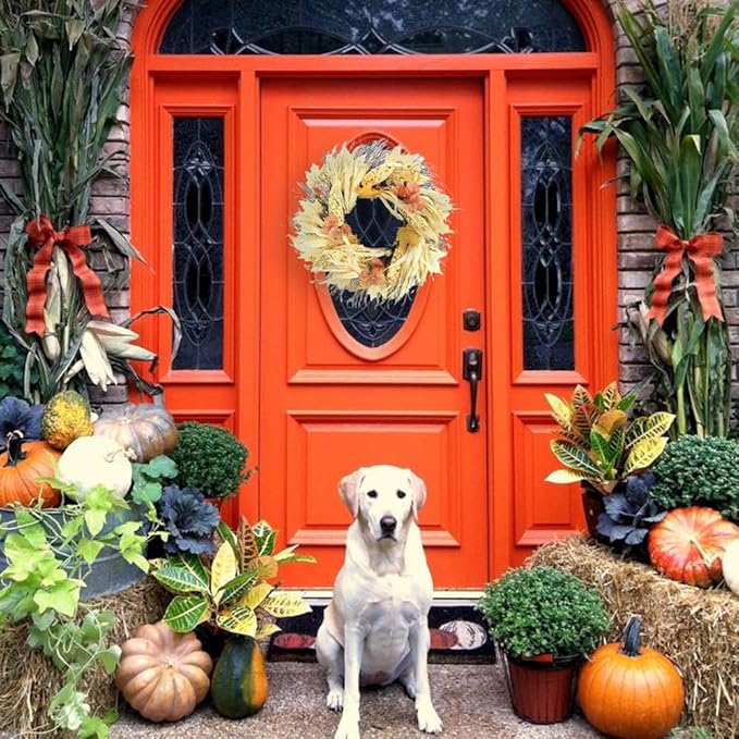 Admired By Nature Autumn Corn Husk Wreath - 26" Natural Fall Color Artificial Wreath - For Home Decor, Offices, Weddings, Events, Parties, Thanksgiving