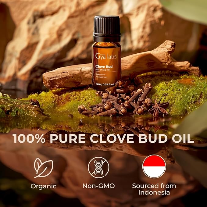 Gya Labs Clove Essential Oil for Teeth & Gums - 0.34 Fl Oz - 100% Pure Natural Clove Oil for Oral Care, Hair, Skin & Candle Making Scent