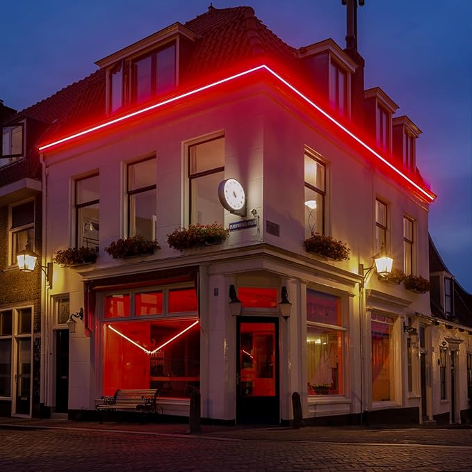 GZBtech Flexible LED Neon Rope Lights 33FT,AC 110-120V Waterproof Strip Light, 120 LEDs/M Cuttable Connectable Neon Lighting for Indoor Outdoor Home Decor/Commercial Building Use-Red 10M