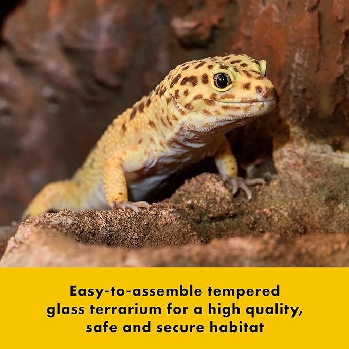 Zilla QuickBuild Reptile 40 Gallon Glass Terrarium Habitat with Swing Door For Geckos, Snakes, Lizards, Frogs, Turtles, and Tortoises, 36" x 18" x 18"