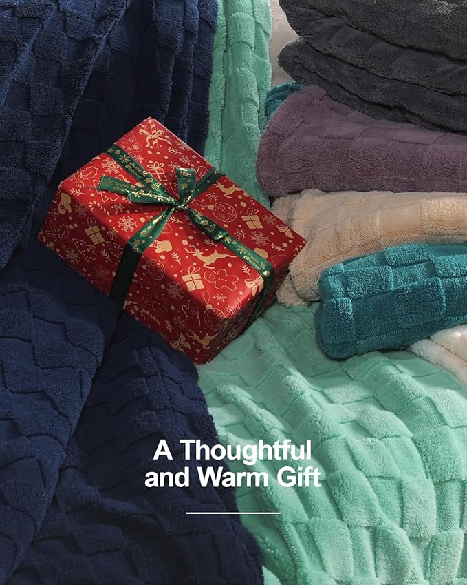 Pawque Super Soft Cozy Throw Blanket Twin Size for Couch Bed, Fluffy Sherpa Fleece Reversible Thick Warm Fuzzy Blanket for All-Season, 3D Checkered Jacquard Decorative Blankets, Teal Green, 60" x 80"