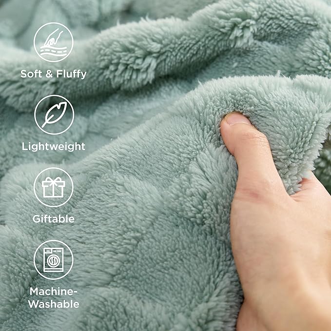 Bedsure GentleSoft Twin Blanket for Bed - Super Soft Cozy Blankets for Women Men Girls, Cute Fuzzy Fleece Throws for Bedroom Couch, Sage Green, 60x80 Inches