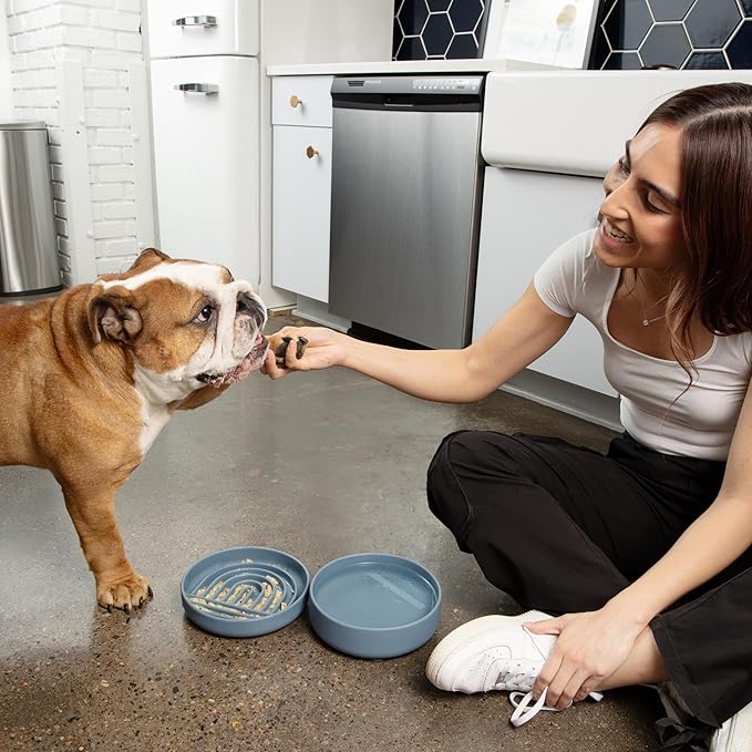 The Slowdown Bowl Silicone Slow Feeder for Dogs & Puppies, Slow Eating, Modern Lick Mat Design, Reduces Gulping, Fits 2 Cups 7.5” Across x 1.5” Tall, Mealtime Challenge, Medium-Ocean