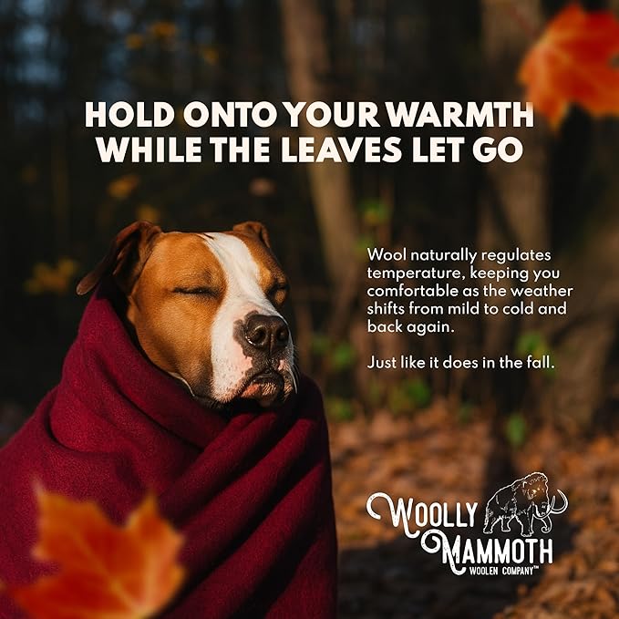 Woolly Mammoth Woolen Company Merino Wool Camping Blanket - 66 x 90 in Navy & Cream Stripe Twin Farmhouse Style - Heavy Insulating Outdoor Throw & Wool Blanket for Home & Travel