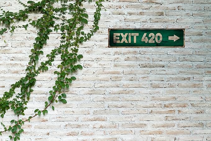 Vintage Tin Sign Retro Metal Exit 420 Signs Stylish Wall Art Plaques for Home Decor Bathroom Kitchen House and Gothic Wall Decor or as a Unique Poster 16x4 in